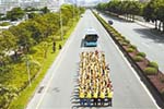 深圳公交宣傳周活動：公交大巴完勝私家車