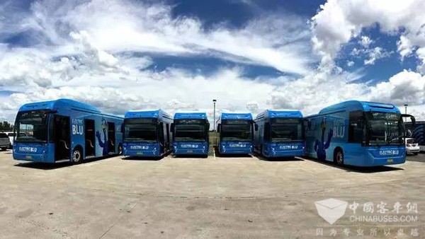 澳洲第三大城市加盟比亞迪全球公交電動化陣容