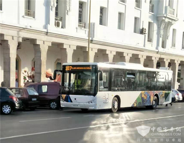 世界杯賽場：摩洛哥球迷乘蘇州金龍客車看球隊以弱勝強