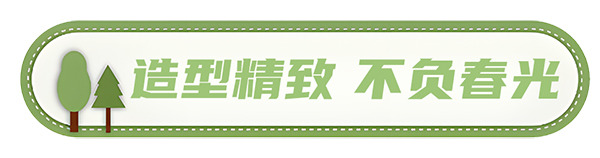 安凱客車 安凱N8 高品質春游