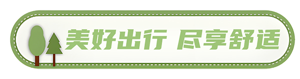 安凱客車 安凱N8 高品質春游