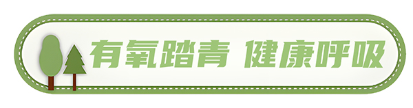 安凱客車 安凱N8 高品質春游