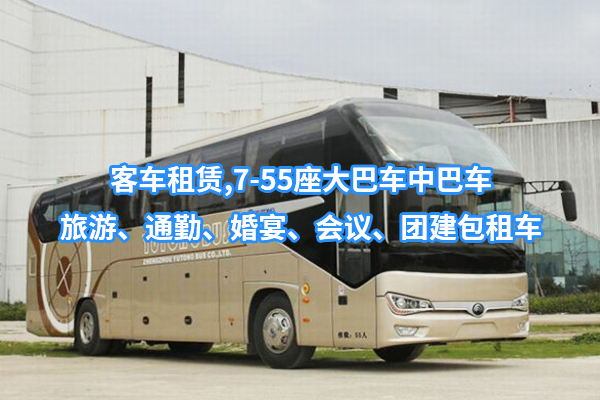 小店區(qū)租大巴車，中巴車，團建，旅游，通勤，婚宴