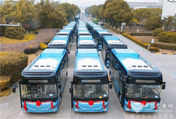 蘇州金龍百億答卷：新質生產力賦能!國內銷售額同比增長36%