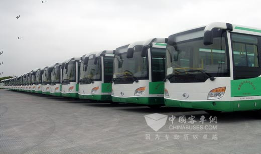 申龍公交車大批量進入廣東市場
