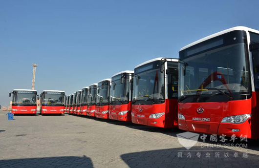 2014年底311輛大金龍XMQ6127G公交車交付伊拉克——中國制造再獲海外市場認可