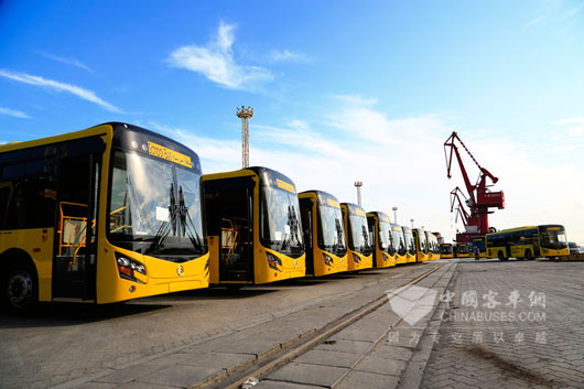 200多臺(tái)嶄新的金旅校車(chē)即將發(fā)往沙特