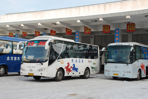 在伊春客運(yùn)市場，許多車主都選擇用大金龍的車