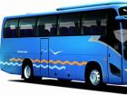 大金龍旅游團體拳頭車型。XMQ6117外觀設計采用國際同步流行的曲線精致搭建——大弧面、流線型，飽滿而有張力。自上市以來，在市場上都有不俗表現，2009年更是保持佳績，銷售達到800多輛，銷售金額近4億，是當之無愧的暢銷車型。
