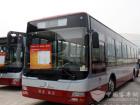 金旅經典客車
