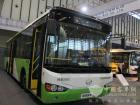 海格綠色公交車(chē)