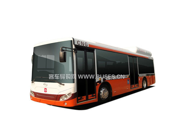 五洲龍F(tuán)DG6101NG5公交車(chē)（天然氣國(guó)五10-40座）