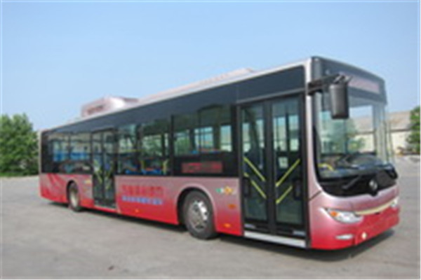 黃海DD6129CHEV5公交車（柴油/電混動(dòng)國(guó)四24-38座）