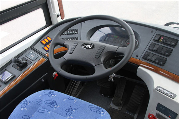 中車時代電動TEG6129EHEVN01公交車（天然氣/電混動國五24-39座）
