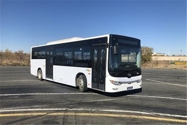 黃海DD6109EV17公交車（純電動(dòng)19-41座）