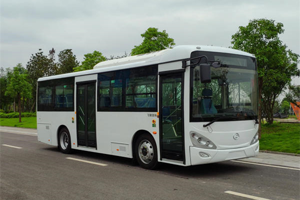飛馳FSQ6850BEVG3公交車(chē)（純電動(dòng)17-28座）