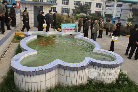 風神輪胎工廠內用凈化水養魚
