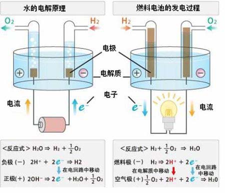 燃料電池的發電原理